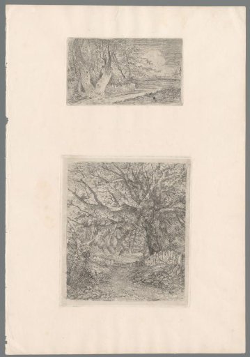 Path along a tree and wooden fence, to the right an open field