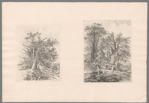 Three trees by a small pool