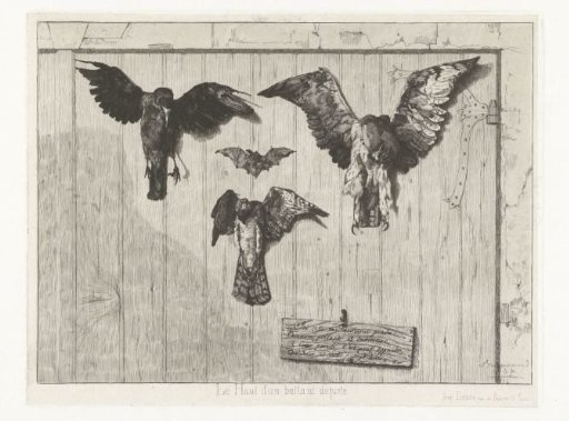 Three Dead Birds and a Bat Nailed to a Door