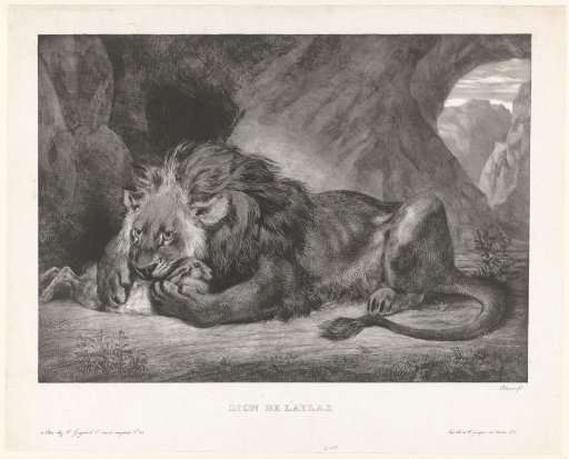 Lion Outwits Rabbit in a Cave