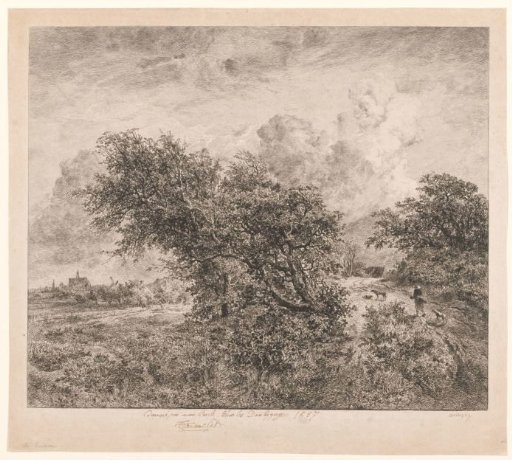 Landscape with large bushes and a walker