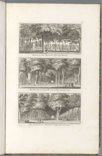 Views of the Haarlemmerhout
