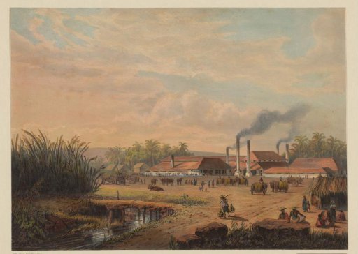 View of the sugar factory in Pangka