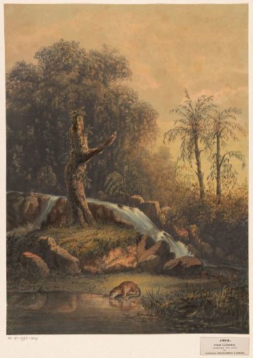 Landscape with Waterfall and Drinking Leopard