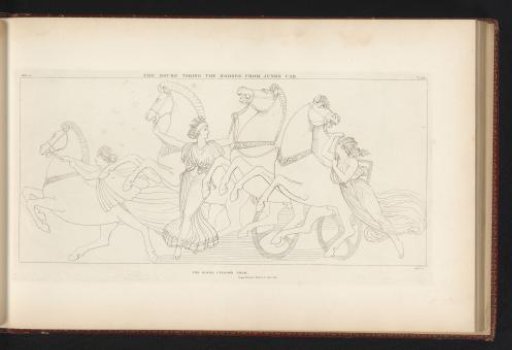 The horses of Juno's chariot are being harnessed