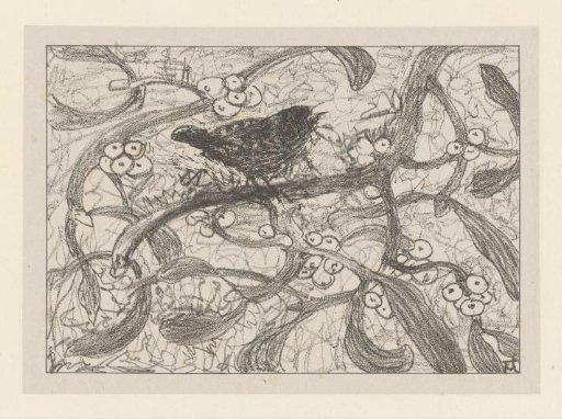 Wren on mistletoe