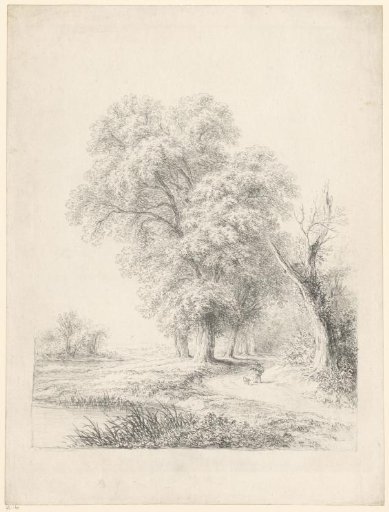 Forest landscape with a man and a dog on a road