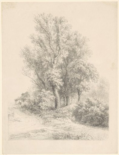 Forest landscape with a house on the left