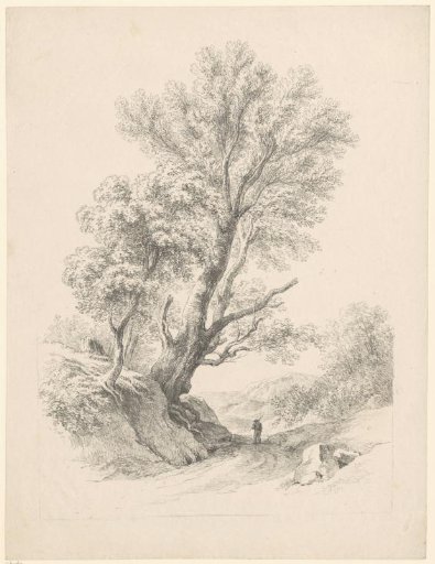 Mountain landscape with a walker on a road