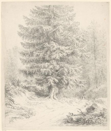 Forest landscape with pine trees and a hunter