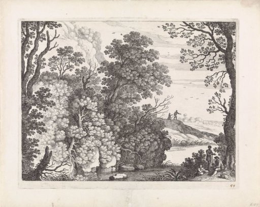 Forest landscape