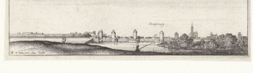 River Landscape with a View of Strasbourg