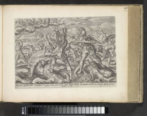 Five heavenly riders fight against Timotheus