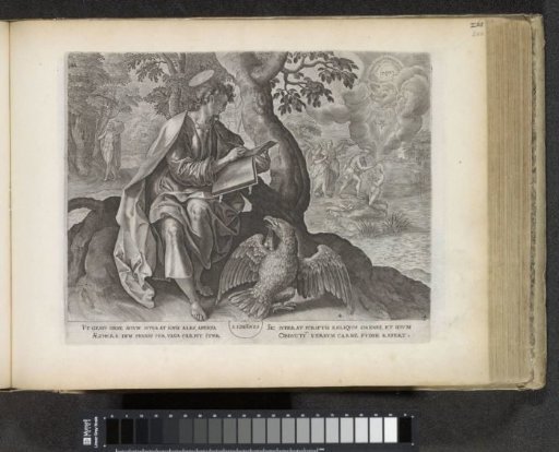 Evangelist John