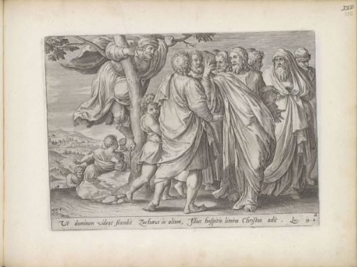 Zacchaeus in the fig tree