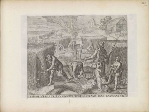 The burning of the tares and the harvesting of the wheat