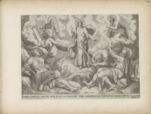 Transfiguration