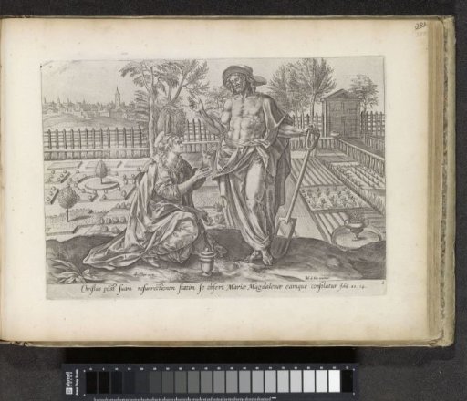 Christ appears to Mary Magdalene (Noli me tangere)