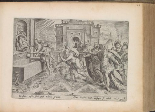 The Plagues of Locusts and Hail