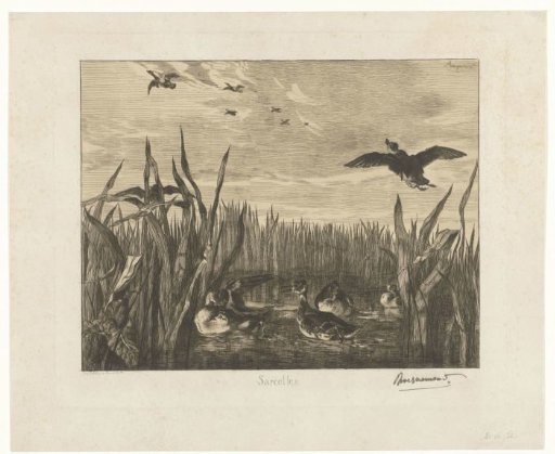 Landscape with Teal Ducks in the Water Among Reeds
