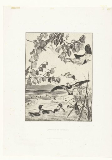Landscape with Lapwings and Teal Ducks