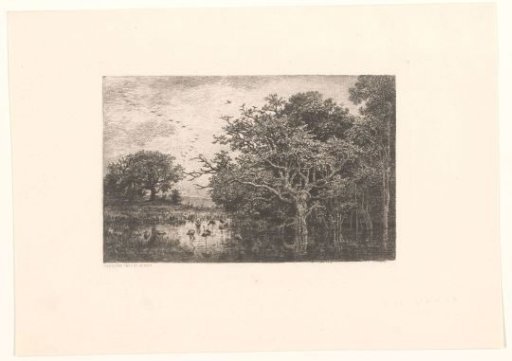 Marsh with storks
