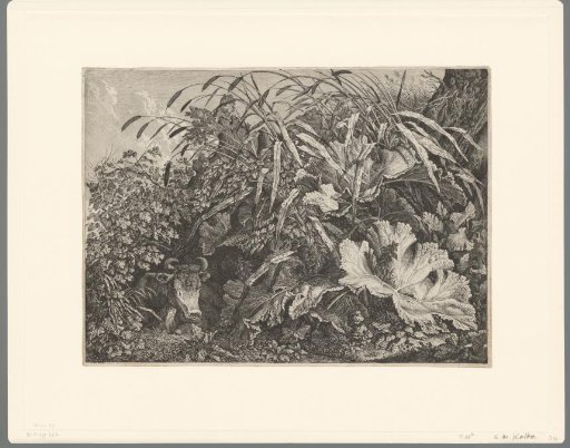 Plants and a lying ox