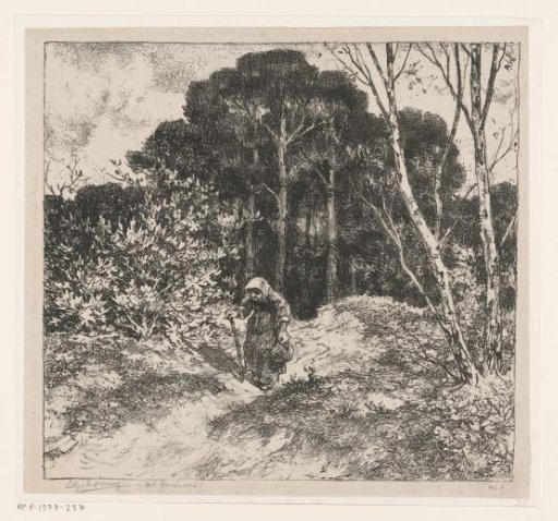 The forest path