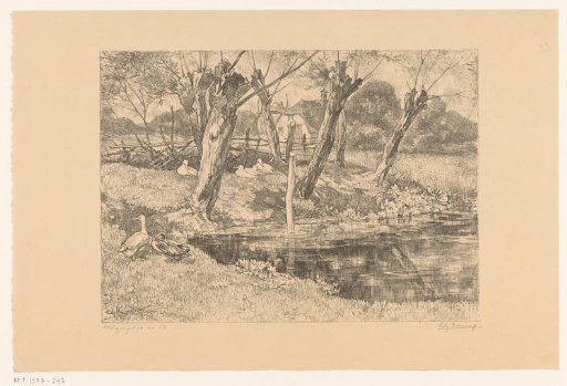 Willow pond