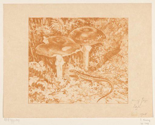 Lizard near two mushrooms