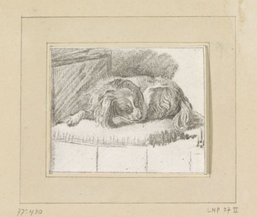 Recumbent dog