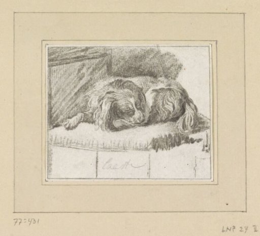 Recumbent dog