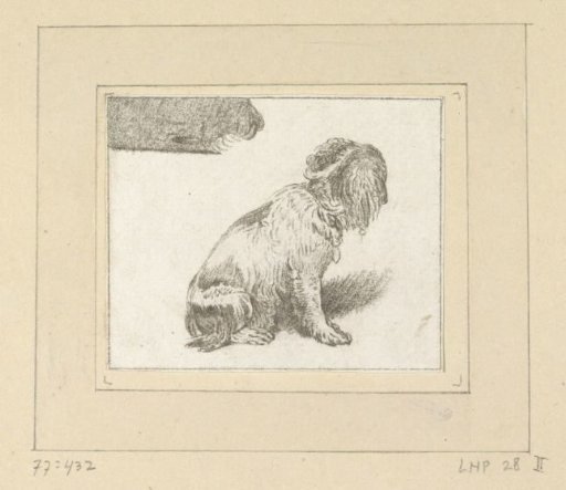 Seated dog