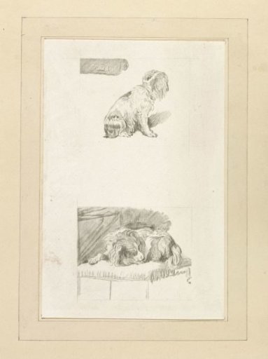 Seated and recumbent dog