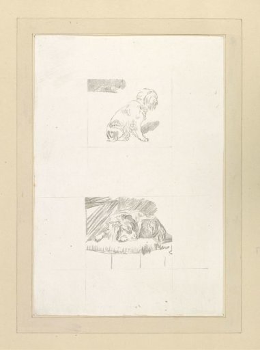 Seated and recumbent dog