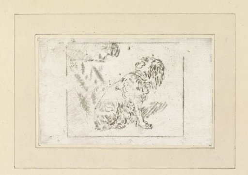 Seated dog