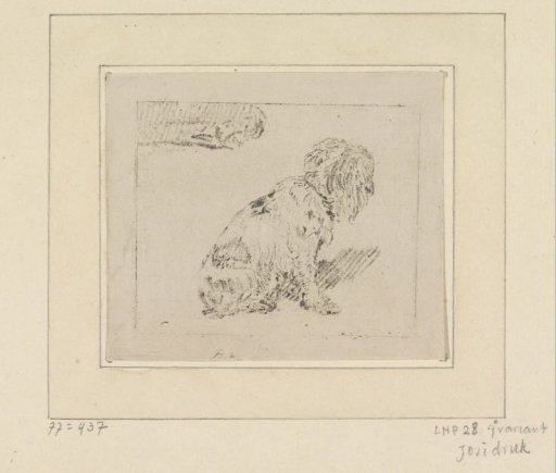 Seated dog