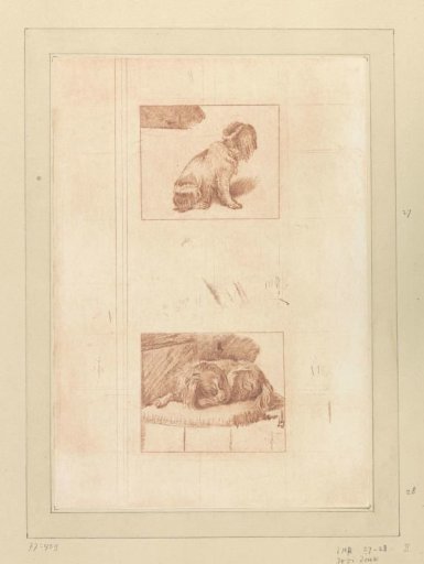 Seated and Lying Dog