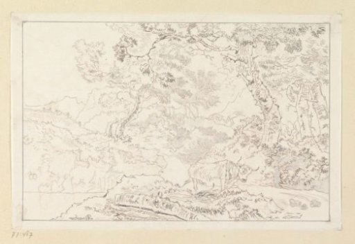 Wooded Landscape with Bull