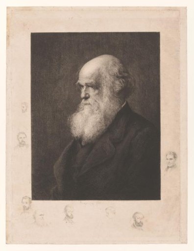 Portrait of Charles Darwin