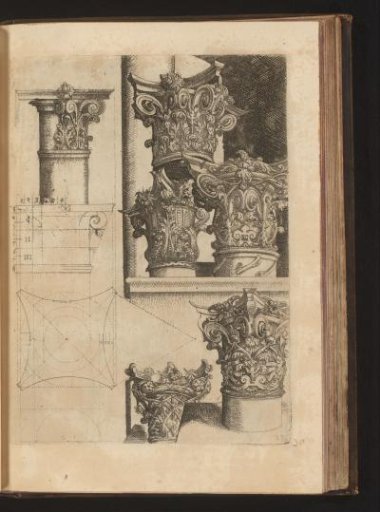 Proportions of a capital and six Corinthian capitals decorated with volutes and leafy scrolls