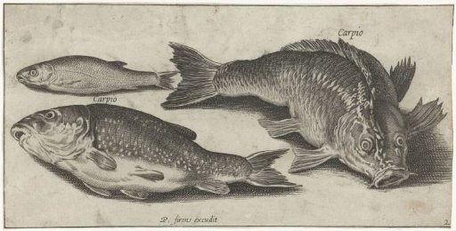 Three Carps