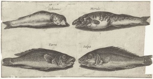 Goby, Gurnard, Whiting and Another Fish