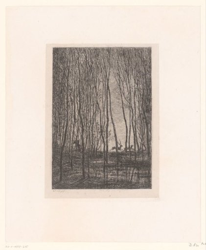 Forest with running stags