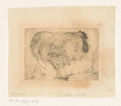 Crouching rooster