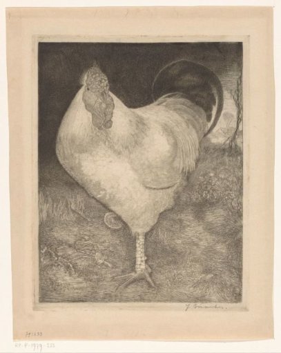 Rooster on One Leg