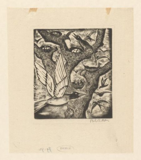 Various Birds at Multiple Nests