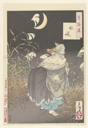 The Call of the Fox