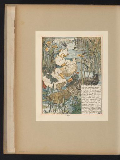 Young Swan Meets Wild Ducks