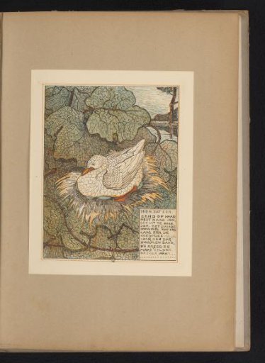 Incubating Duck